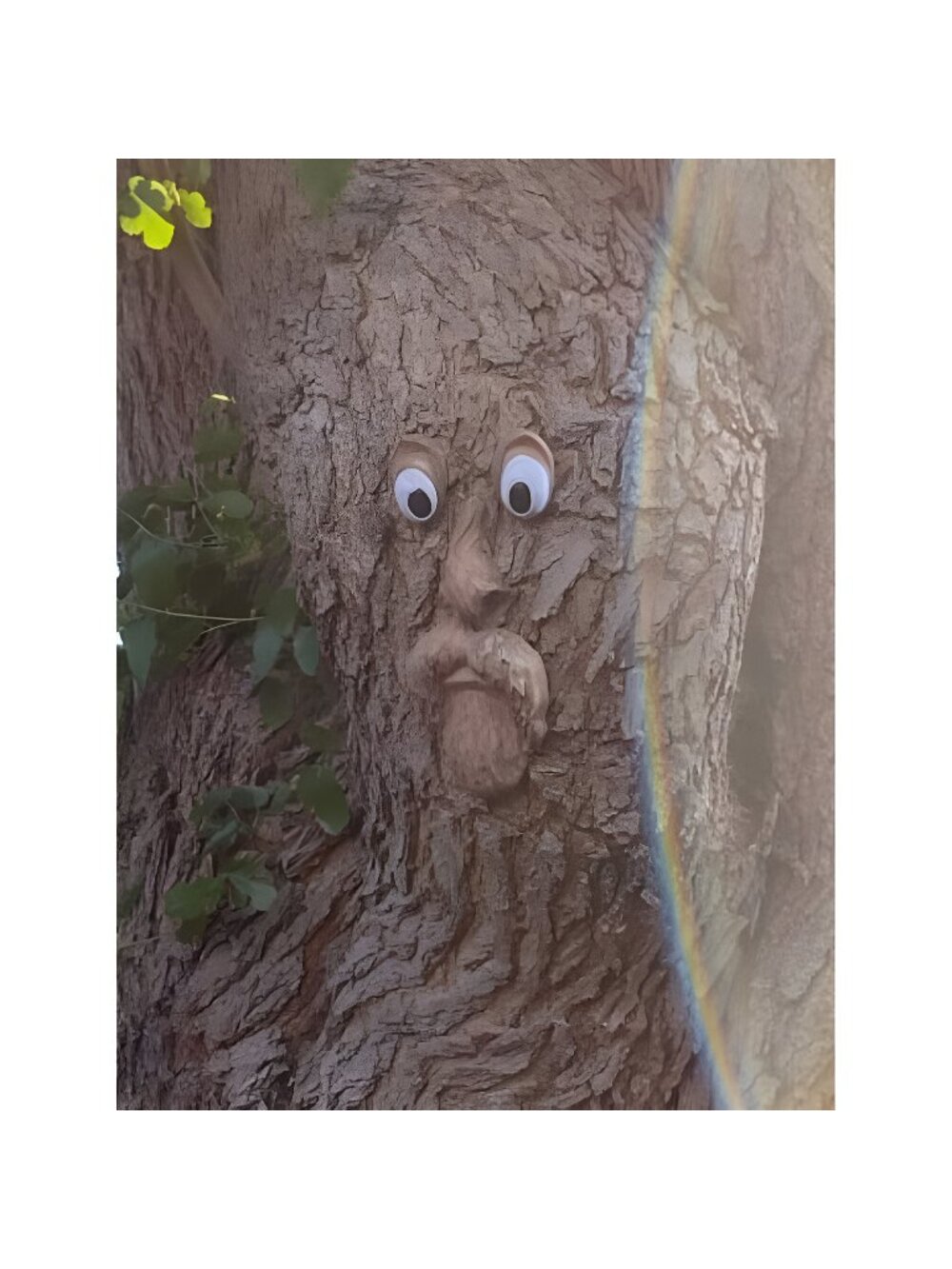 Tree Faces Decor Outdoor,Tree Face Outdoor Statues Old Man Tree Hugger